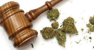Cannabis legalization can open up investment opportunities