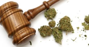 Legal marijuana prices in Canada