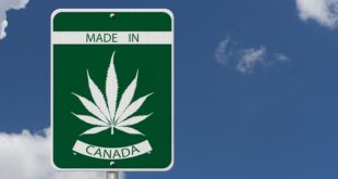 How could cannabis industry benefit foreign direct investment in Canada?