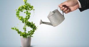 Is cannabis industry good for business growth?