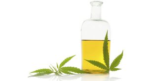 Benefits of the cannabis oil