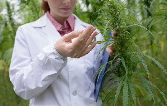 FSD Pharma Welcomes All-Star Lineup of Cannabis Researchers