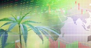 How to invest in the cannabis industry