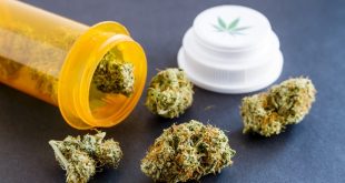 FSD Pharma Receives A Cannabis License From Health Canada