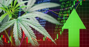 Cannabis Stocks you must watch in 2019