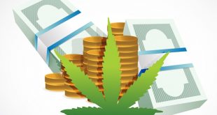Colorado has made around $1bn from legal cannabis industry