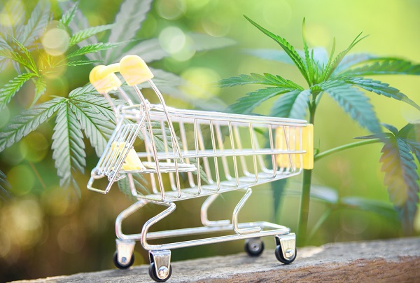 Emerging investing opportunities in the cannabis industry