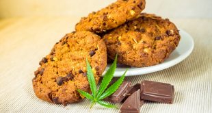 On mid december you'll be able to find cannabis edibles