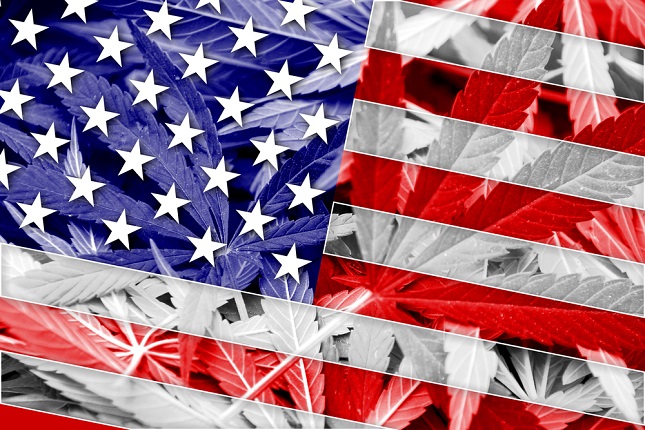 America’s shifting perception of cannabis can be traced through presidential cycles