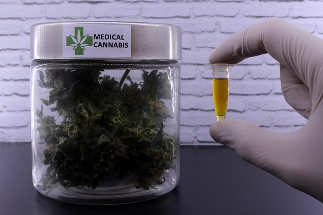 An Israeli company was granted a license to import and commercialize medical marijuana