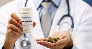 A cannabis chemical may have a “major impact” in the treatment of pancreatic cancer