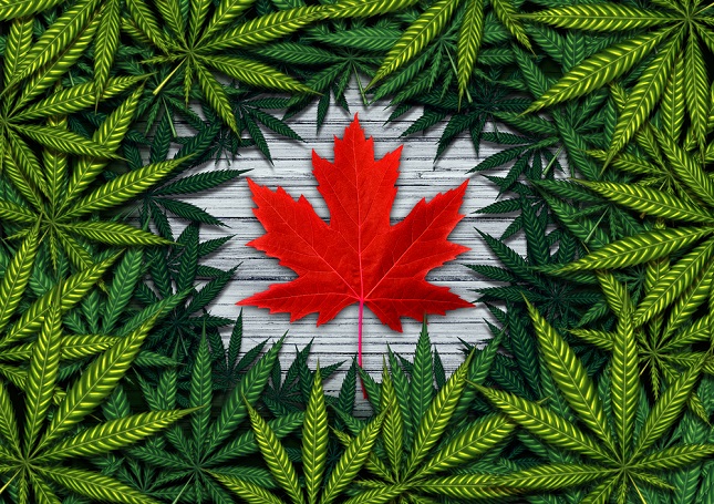 Shortages of Canadian marijuana appeared immediately after recreational sales of cannabis