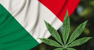 Italy’s New Government Could Legalize Cannabis
