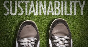 Sustainable Footwear Uses Bamboo and Hemp