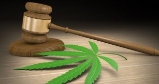 New Jersey Governor Backs Marijuana Decriminalization Ahead Of 2020