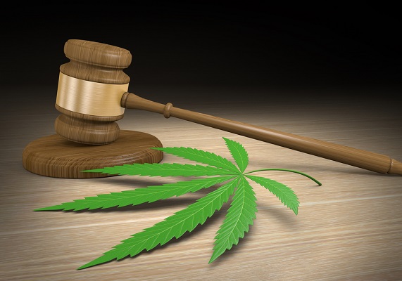 New Jersey Governor Backs Marijuana Decriminalization Ahead Of 2020