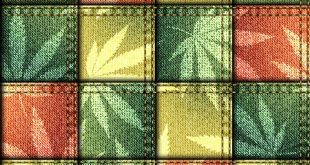 Is hemp the product of the future?