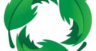 Going Green(er): Environmental Initiatives in Cannabis