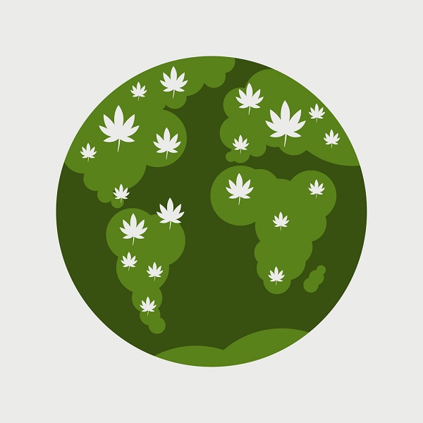 Is the Pandemic Hindering Global Cannabis Research and Innovation?