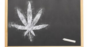 Why The Pandemic Could Be A Boon For Cannabis Education