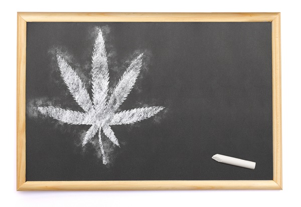 Why The Pandemic Could Be A Boon For Cannabis Education