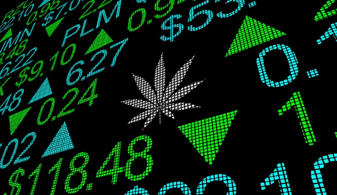 Will These Marijuana Stocks Begin To Rebound?