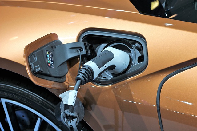 Which Chinese Electric Vehicle Stock Will Grow The Most By 2022?